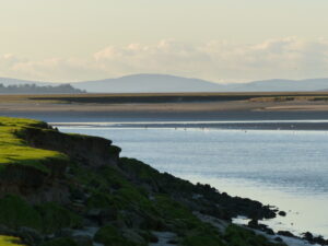 A Solway salt marsh