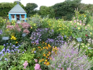 The community garden Silloth on Solway