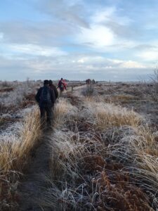 Solway fieldtrips