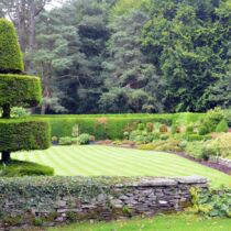 Topiary and lawned garden Topiary and lawned garden