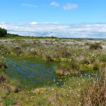 Glasson moss Glasson moss