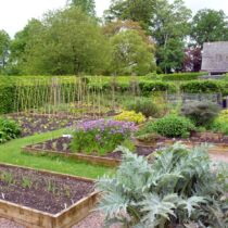 Vegetable gardens Vegetable gardens